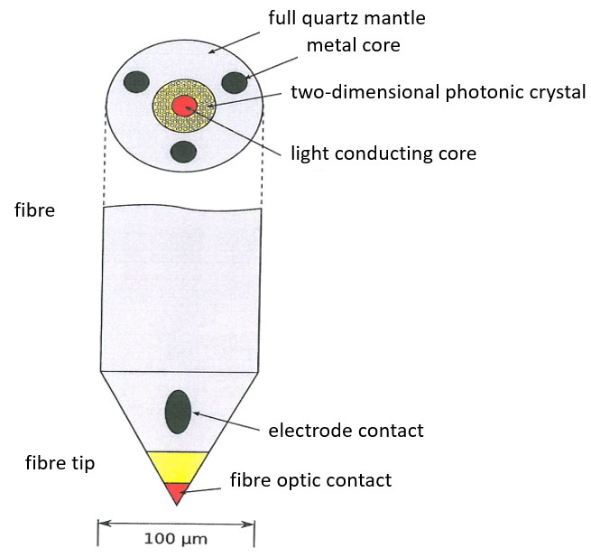 Integrated fibre optic microelectrode 