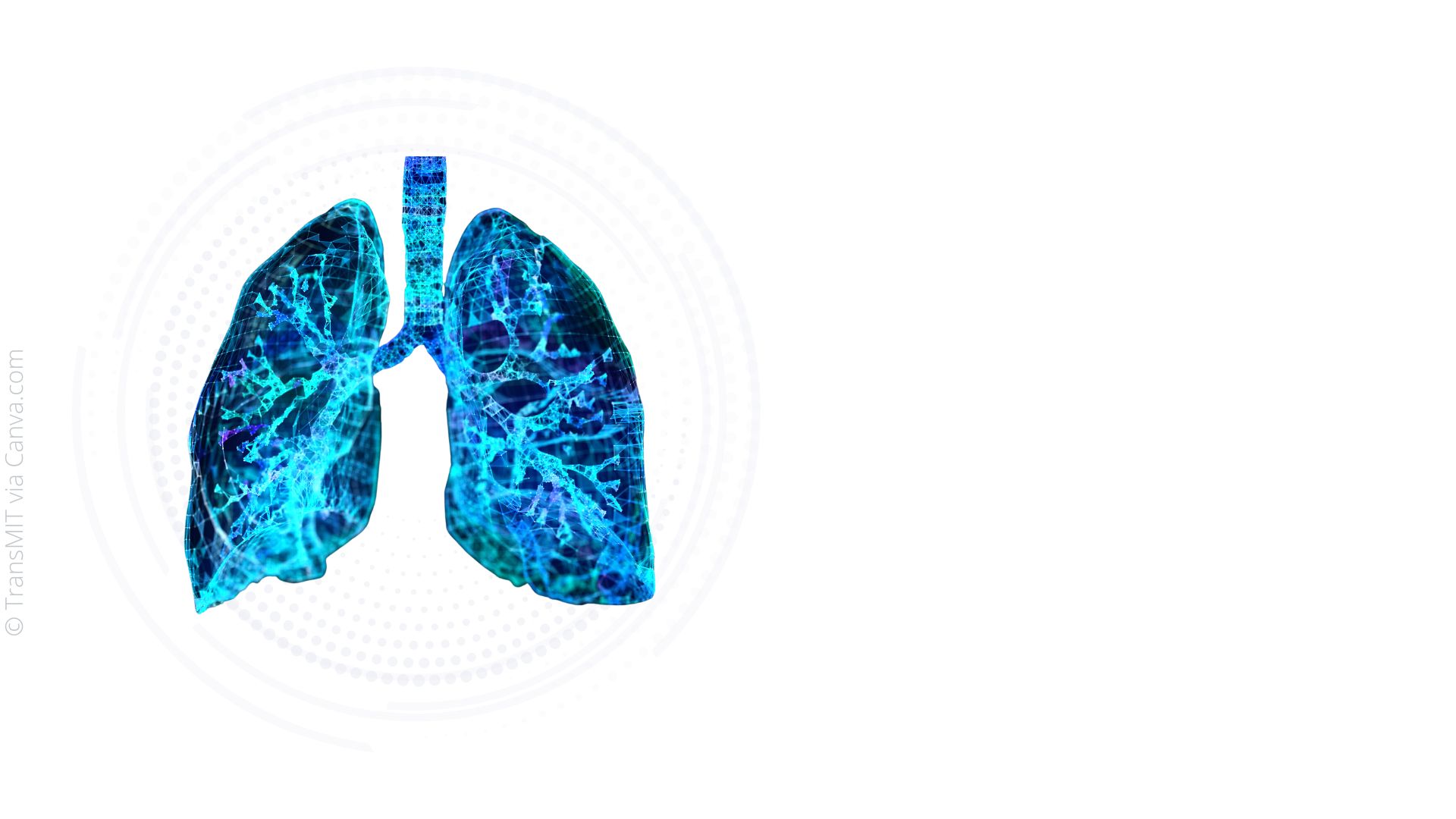 Dynamisches 3D Bildgebungverfahren für Lungenmonitoring