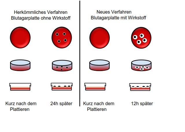 Verbessertes Nachweisverfahren für hämolysierende pathogene gram-positive Bakterien