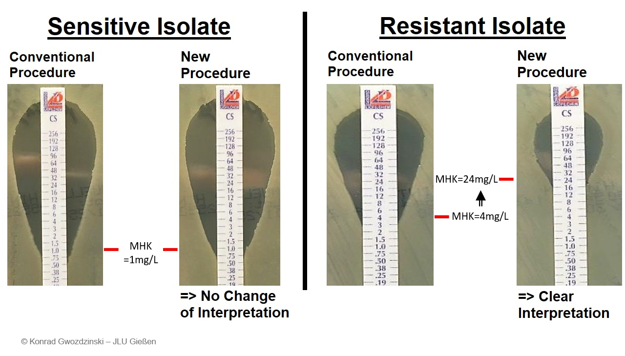 Simple and reliable detection of  colistin-resistant bacteria