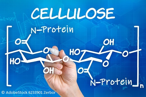 Production of protein-grafted cellulosic fibers by a simple two-step process