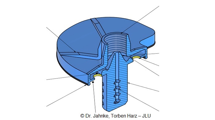 Cement applicator for embedding endoprostheses 