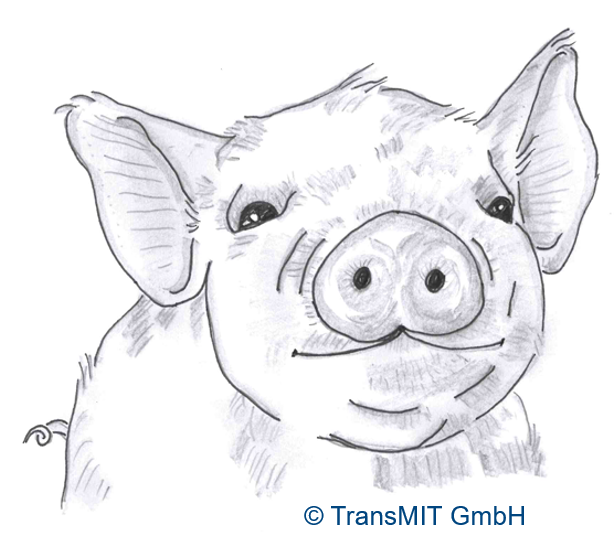 Pig Model for Retinal Diseases (Stargardt Disease)