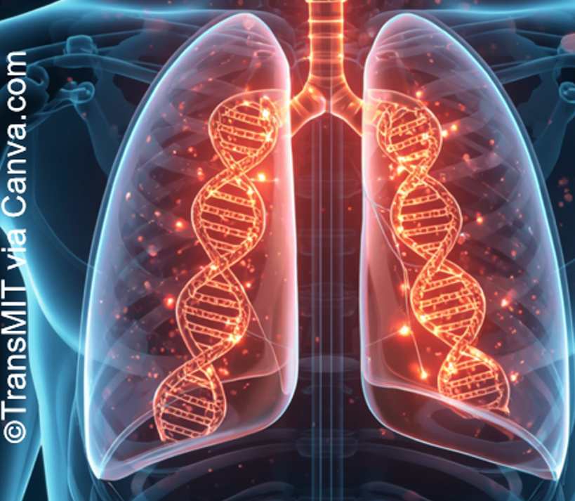 Lung specific enhancer for the transfection of lung cells for gene therapy