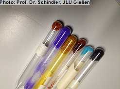 Stabile Oxidationskatalysatoren auf Kupferbasis zur Gewinnung von u.a. Phenol als Ausgangsstoff für Kunststoffe oder zur Produktion von Sauerstoff-Detektoren