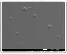 
Bioabbaubare Nano- und Mesopolymerpartikel zum Schutz des pulmonalen Surfactants der Lunge
