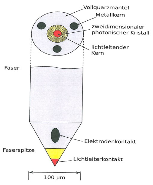 Integrierte Faser-Lichtleiter-Mikroelektrode