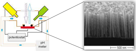 Optischer pH-Wert-Sensor