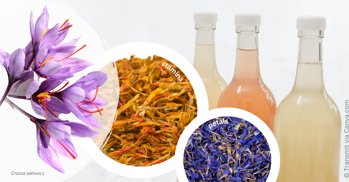 Fermentative production of a beverage from saffron side streams	