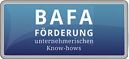 BAFA Business- & Innovations-Consulting