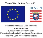 LOGO EFRE HESSEN