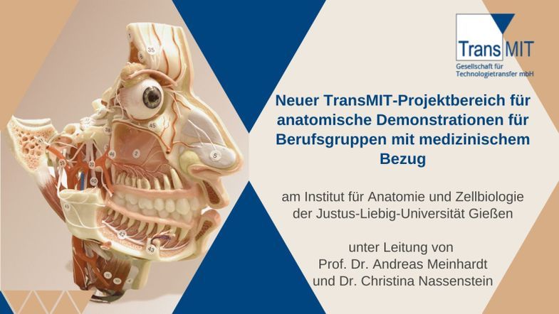 Neuer TransMIT-Projektbereich für anatomische Demonstrationen für Berufsgruppen mit medizinischem Bezug