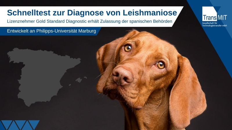 Diagnostik Techtransfer Hunde