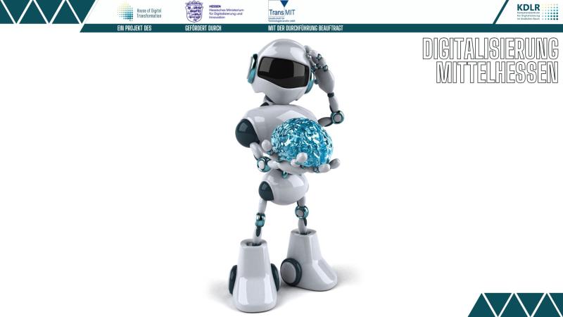 humanoid robotics
