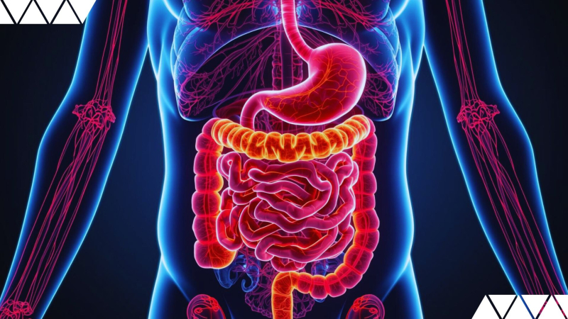 Besser verstehen, besser behandeln, besser leben